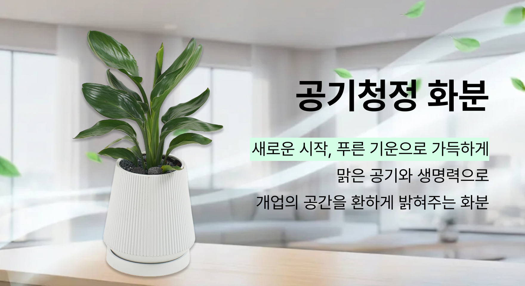공기청정화분