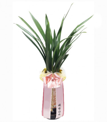 산천보세(겨울)